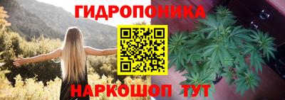 винт Ливны