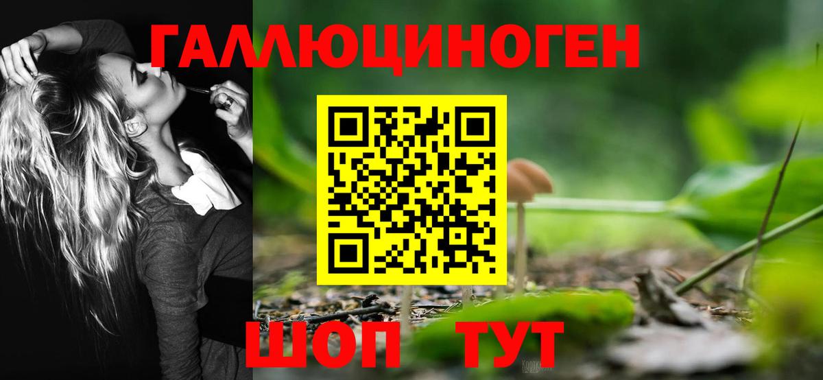 Галлюциногенные грибы Psilocybe  купить наркоту  Черногорск  Вход с VPN 